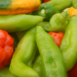 Eingelegte Chilis